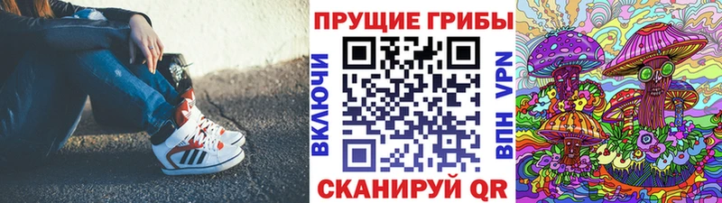 Купить Балтийск Псилоцибиновые грибы Cubensis
