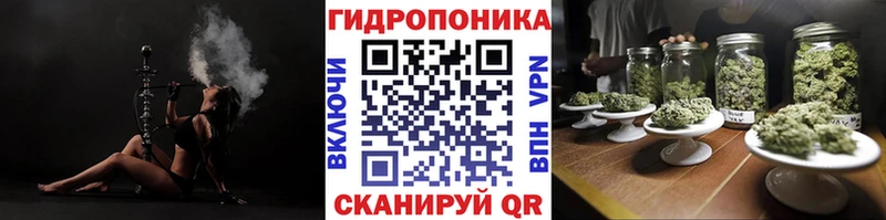 Бошки марихуана индика  Купить где  Балтийск 